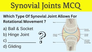 Synovial Joints MCQ  MCQ On Synovial Joints  Synovial Joints [upl. by Ayekan]