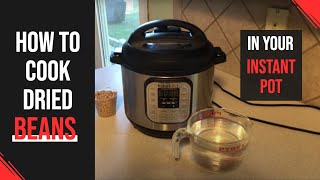 Instant Pot 101 How to Cook Dry Beans [upl. by Jacquet771]