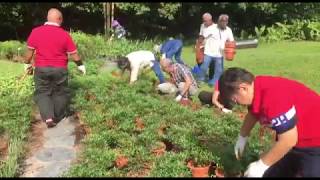 NParks gardening volunteers at work at the Spice Garden on the Istana grounds [upl. by Oniotna]