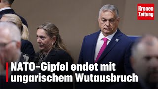 Ungarischer Wutausbruch NATOGipfel endet mit heftigem Eklat [upl. by Opalina242]