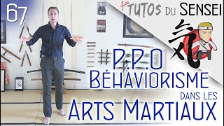 Pédagogie  Behaviorisme et PPO dans les Arts Martiaux [upl. by Ullyot792]