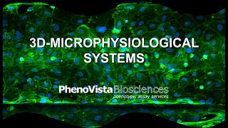 3DMicrophysiological Systems [upl. by Race]