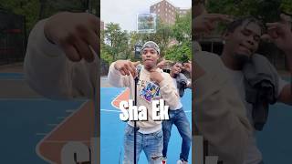 🔥🔥🔥 trending bronxdrill hoodvlogs NYDRILL shortsfeed recommended shaek dthang [upl. by Enorahs495]