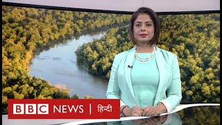 AMAZON RAIN FOREST क्या इस वजह से हो सकते हैं खत्म BBC Duniya with Sarika BBC Hindi [upl. by Nomead861]