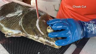 How to Fillet Halibut [upl. by Powder]