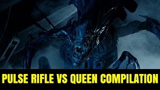 Pulse Rifle vs Alien Queen Compilation [upl. by Labotsirhc]