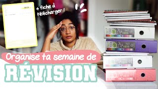 Bien organiser ta SEMAINE de RÉVISION   ALED Spécial Partiels [upl. by Abocaj471]