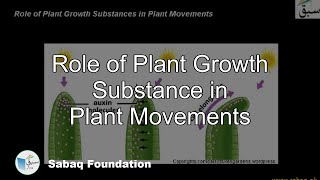 Role of Plant Growth Substance in Plant Movements Biology Lecture  Sabaqpk [upl. by Ruffina588]