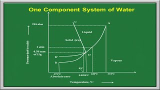 Phase Rule  One Component System [upl. by Trix524]