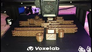 Voxelab AQUILA X2  199 3D Printer  Review and Demo [upl. by Eniotna393]