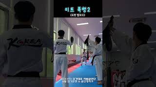 미트 폭행2🥋🦶 KTA 국가대표 시범공연단 도약 발차기 [upl. by Ellenod536]