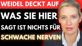 Alice Weidel enthüllt die SCHMUTZIGEN PLÄNE die FAESER und MERZ mit UNS haben 🚨 Unfassbar [upl. by Ttirrem655]