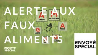 Envoyé spécial Alerte aux faux aliments   13 septembre 2018 France2 [upl. by Dygert]