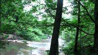 Fiddler Green Park along Butternut Creek in Jamesville NY [upl. by Karlis957]