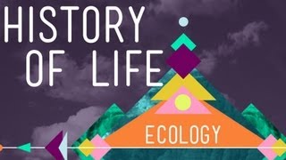 The History of Life on Earth  Crash Course Ecology 1 [upl. by Crispa]