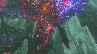 Zelda Breath of the Wild Naydra Secret Boss Fight [upl. by Goldberg]