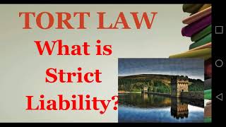 What is Strict Liability [upl. by Soren]