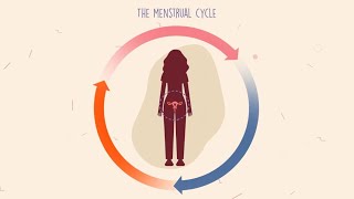 How does the menstrual cycle work [upl. by Carlynne]