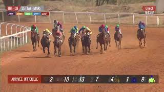 Live Hippodrome « SETTAT »  Courses du « 10062023 » [upl. by Mathews]