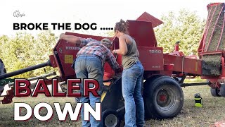 HELP  the MASSEY is DOWN  Replacing Hay Dog Springs hayseason [upl. by Nivrae]