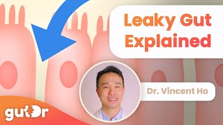 What is Leaky Gut  GutDr MiniExplainer [upl. by Girardo872]