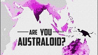 Who Exactly is an AustraloidVeddoid [upl. by Alleusnoc]