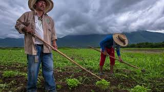 Cabañuelas tradición de predicción meteorológica del año IUSAsesores Noticias [upl. by Sergeant]