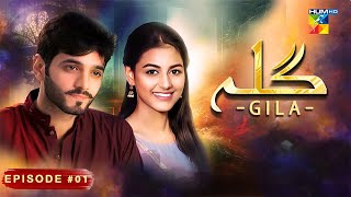 Gila Episode 01  Wahaj Ali  Anzela Abbasi  Best Pakistani Serial  HUM TV [upl. by Yelrak]