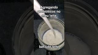 leite fermentado com bactérias do bem [upl. by Arne518]