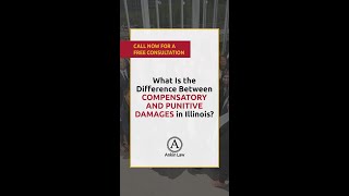 What Is The Difference Between COMPENSATORY AND PUNITIVE DAMAGES In Illinois [upl. by Ameyn500]