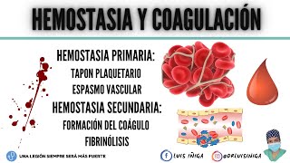 Hemostasia y Coagulación Tapón plaquetario Mecanismo general Vía intrínseca y extrínseca [upl. by Zelikow]