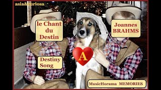 BRAHMS  Song of Destiny amp Memory of a cherished moment  New Philharmonia Abbado 1968 [upl. by Yonita200]