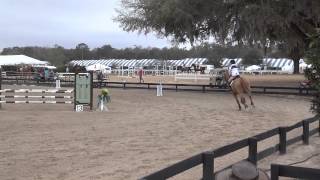 Level 2 jumpers HITS Ocala [upl. by Richella198]