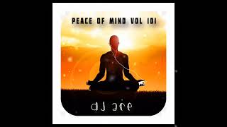 SLOW JAM MIX 2024  03 NOVEMBER  PEACE OF MIND VOL 101  DJ Ace ♠️ [upl. by Ahsatsana]