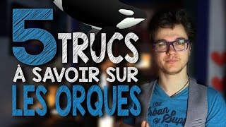 CHRIS  5 Trucs à Savoir Sur Les Orques [upl. by Carmela556]