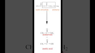 Ammonolysis of Acetic anhydride  Acetic acid  Acetamide  Organic Chemistry  Class 12 [upl. by Nyloj511]