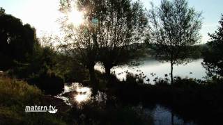 Sonnenaufgang im Naturschutzgebiet Erlach in Bensheim [upl. by Scibert]