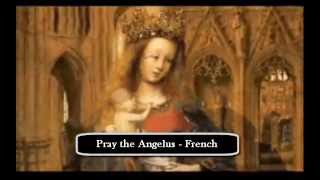 Pray the Angelus French [upl. by Atsyrhc562]