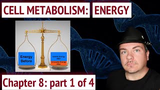 Cell Metabolism Energy Metabolic Pathways and Thermodynamics [upl. by Feldstein]