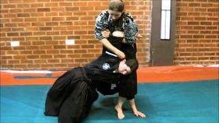 Ogawa Ryu  柔術  Teach Moments with Shidoshi Juliana Galende  2014 [upl. by Ohnuj]