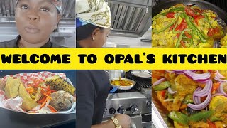 Opals Kitchen Tek Off Like PLANE Plankanarians Flocks her kitchen for food [upl. by Seditsira]