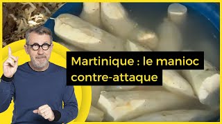 Martinique  le manioc contreattaque  C Jamy [upl. by Othilie]