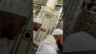 Makkah to maddina travel best vlog makkahmadinah makkah umrah madina [upl. by Enwad404]