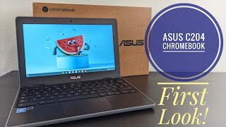 £99 TouchScreen Chromebook shorts [upl. by Avin]