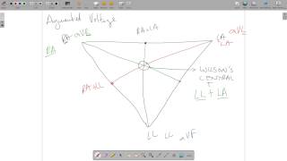 ECG Theory Leads Einthoven Wilsons Central Terminal Placement [upl. by Sheya]