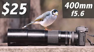 Canon M50  25 wildlife lens [upl. by Innavoeg]