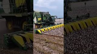 Mechanized cotton picking process Good tools and machinery can increase work efficiency [upl. by Valeta]