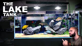 Aquascape Tutorial EPIC 4ft African Cichlid Aquarium  Lake Tanganyika How To Step By Step Guide [upl. by Ivek]