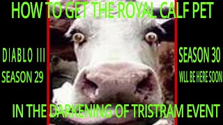 DARKENING OF TRISTRAM HOW TO GET THE ROYAL CALF SEASON 29 DIABLO III [upl. by Ordnazil286]