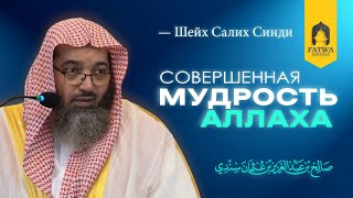 Мудрость Аллаха и один из самых широких путей заблуждения  Шейх Салих Синди [upl. by Etteniotna423]